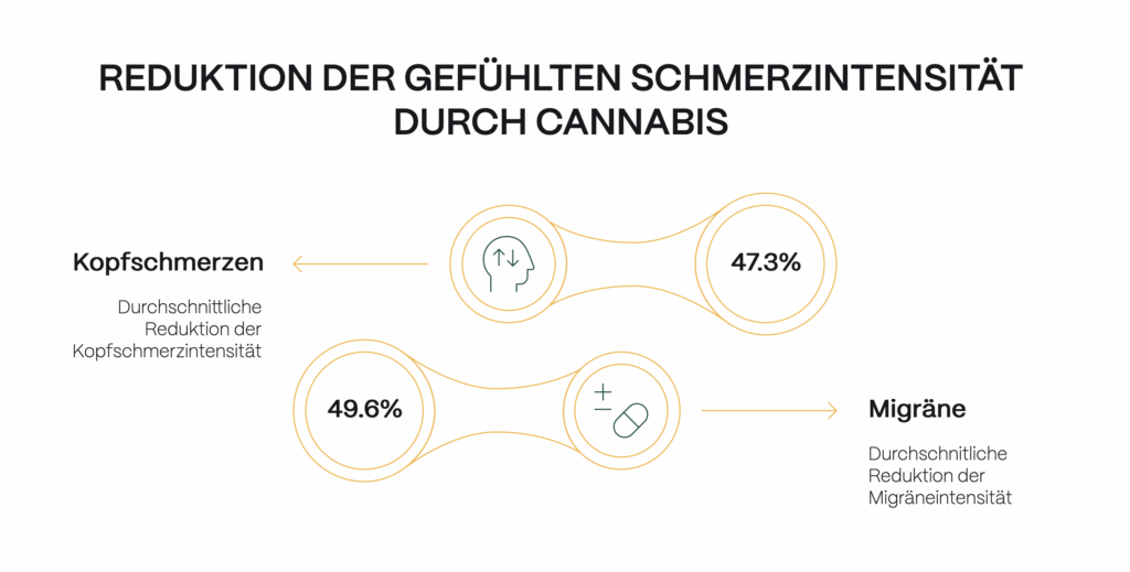 Grafik zur Reduktion der gefühlten Schmerzintensität durch Cannabis bei Migräne und Kopfschmerzen. Durchschnittlich gaben Nutzer:innen eine Verringerung der Kopfschmerzintensität um 47,3 % und der Migräneintensität um 49,6 % an. Thema: Cannabis bei Migräne.