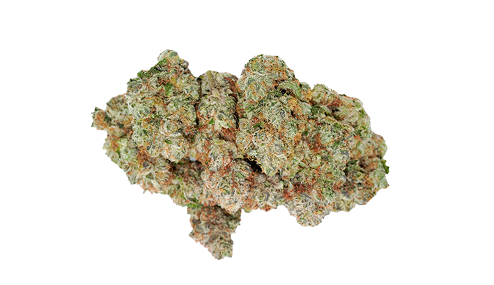 Eine kompakte, getrocknete Ocean Grown Cookies Blüte vor einem rein weißen Hintergrund. Die hellgrüne Knospe ist fast vollständig von einer glitzernden Schicht weißer Harzkristalle (Trichome) bedeckt und wird von zahlreichen leuchtend orangefarbenen Blütenfäden durchzogen.