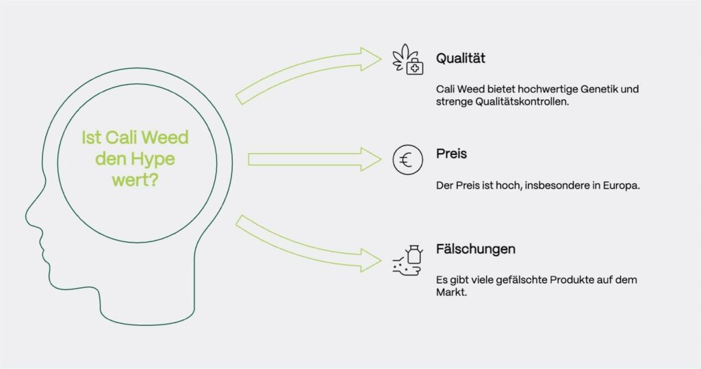 Infografik mit der zentralen Frage: „Ist Cali Weed den Hype wert?“ In einem stilisierten Kopfprofil steht die Frage in der Mitte. Drei grüne Pfeile zeigen von dort nach rechts auf drei Argumente:
1. Qualität (Symbol: Cannabisblatt mit Kreuz):
Cali Weed bietet hochwertige Genetik und strenge Qualitätskontrollen.
2. Preis (Symbol: Euro-Zeichen):
Der Preis ist hoch, insbesondere in Europa.
3. Fälschungen (Symbol: Verpackung mit Warnzeichen):
Es gibt viele gefälschte Produkte auf dem Markt.
Das Design ist minimalistisch und übersichtlich gehalten, mit Icons und Pfeilen im handgezeichneten Stil.