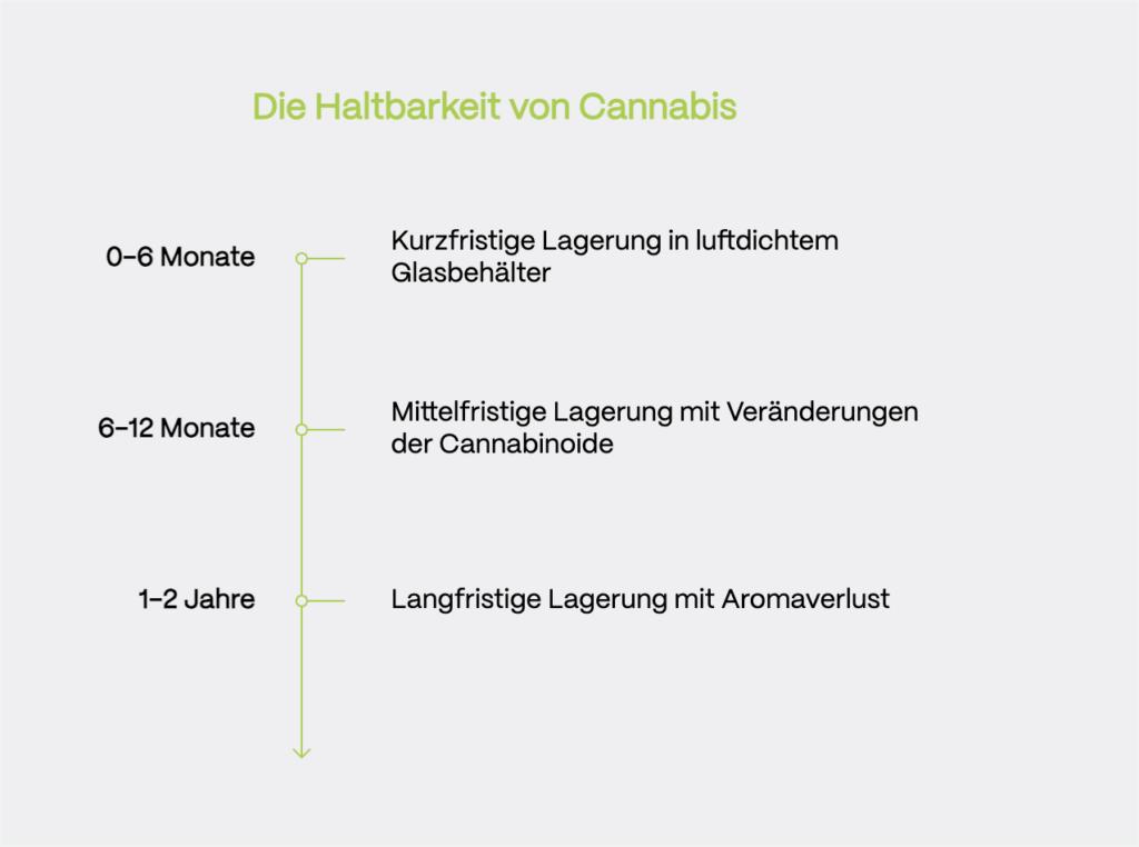 Eine Infografik mit dem Titel „Die Haltbarkeit von Cannabis“. Sie zeigt eine Zeitachse mit drei Lagerungszeiträumen:
0–6 Monate: Kurzfristige Lagerung in einem luftdichten Glasbehälter.
6–12 Monate: Mittelfristige Lagerung mit Veränderungen der Cannabinoide.
1–2 Jahre: Langfristige Lagerung mit Aromaverlust.
Die Schrift ist in Schwarz auf einem hellgrauen Hintergrund, mit grüner Überschrift und Linien.