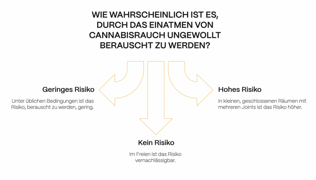 Infografik Cannabis Passivrauchen: Risiko eines