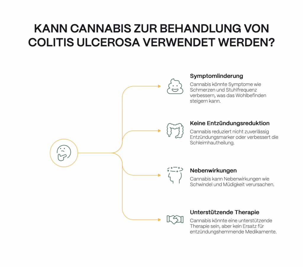 Infografik zur Frage, ob Cannabis zur Behandlung von Colitis ulcerosa geeignet ist. Vier Punkte werden dargestellt: 1) Symptomlinderung – Cannabis könnte Schmerzen und Stuhlfrequenz verbessern. 2) Keine Entzündungsreduktion – Entzündungsmarker und Schleimhautheilung verbessern sich nicht zuverlässig. 3) Nebenwirkungen – möglich sind Schwindel und Müdigkeit. 4) Unterstützende Therapie – Cannabis kann ergänzen, ersetzt aber keine entzündungshemmenden Medikamente.